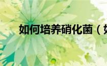 如何培养硝化菌（如何培养硝化细菌）