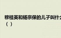 穆桂英和杨宗保的儿子叫什么穆桂英和杨宗保的儿子叫什么（）