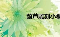 葫芦雕刻小视频 葫芦雕刻