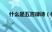什么是五言律诗（什么叫做五言律诗）
