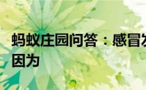 蚂蚁庄园问答：感冒发烧时容易没有胃口主要因为