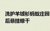 洗护羊绒衫蚂蚁庄园 水温低于30度还是洗涤后悬挂晾干