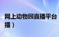 网上动物园直播平台（怎么观看百度动物园直播）
