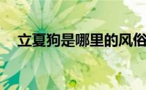 立夏狗是哪里的风俗 蚂蚁新村立夏狗5.6
