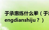 于承惠练什么拳（于承惠的功夫有多高dianyengdianshiju？）