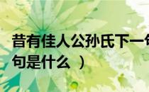 昔有佳人公孙氏下一句（昔有佳人公孙氏下一句是什么 ）