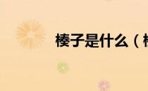 楱子是什么（楱子是什么啊）