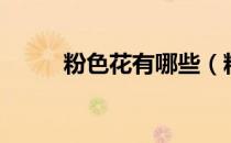 粉色花有哪些（粉色花卉有哪些）