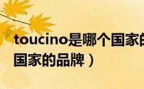 toucino是哪个国家的品牌（toucino是什么国家的品牌）
