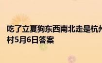 吃了立夏狗东西南北走是杭州塘栖村的习俗吗 立夏狗蚂蚁新村5月6日答案