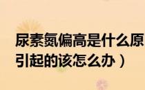 尿素氮偏高是什么原因?（尿素氮偏高是怎么引起的该怎么办）