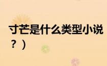 寸芒是什么类型小说（寸芒的大概内容是什么？）