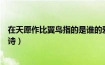 在天愿作比翼鸟指的是谁的爱情（在天愿为比翼鸟出自哪首诗）