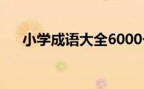 小学成语大全6000个（小学成语大全）