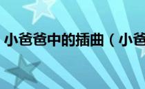 小爸爸中的插曲（小爸爸中的插曲有哪些？）