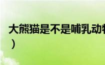 大熊猫是不是哺乳动物（大熊猫是哺乳动物吗）