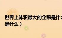 世界上体积最大的企鹅是什么企鹅（世界上体积最大的企鹅是什么）