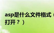 asp是什么文件格式（ASP格式的文件用什么打开？）