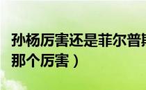 孙杨厉害还是菲尔普斯厉害（孙杨和菲尔普斯那个厉害）