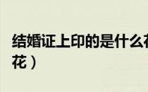 结婚证上印的是什么花（结婚证上印的是哪种花）