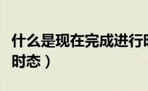 什么是现在完成进行时（什么是现在完成进行时态）