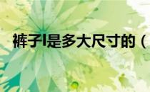 裤子l是多大尺寸的（裤子L是多大的尺码）