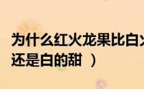 为什么红火龙果比白火龙果甜（火龙果红的甜还是白的甜 ）