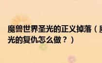 魔兽世界圣光的正义掉落（魔兽世界神圣的和堕落的任务圣光的复仇怎么做？）