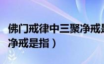 佛门戒律中三聚净戒是什么（佛门戒律中三聚净戒是指）