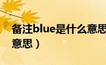 备注blue是什么意思中文（备注blue是什么意思）
