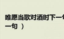 唯愿当歌对酒时下一句（唯愿当歌对酒时的下一句 ）