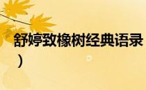 舒婷致橡树经典语录（舒婷致橡树经典语录？）