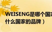 WEISENG是哪个国家的品牌（WEISENG是什么国家的品牌）
