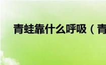 青蛙靠什么呼吸（青蛙用什么器官呼吸）