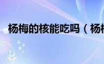 杨梅的核能吃吗（杨梅核吞下去能消化吗）