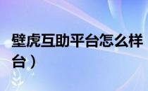 壁虎互助平台怎么样（壁虎互助是一个什么平台）
