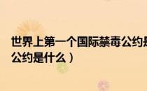 世界上第一个国际禁毒公约是几号（世界上第一个国际禁毒公约是什么）