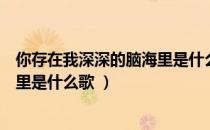 你存在我深深的脑海里是什么歌（歌词你存在我深深的脑海里是什么歌 ）