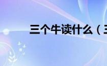 三个牛读什么（三个牛是什么字）