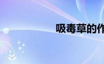 吸毒草的作用 吸毒草