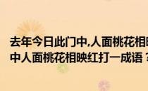 去年今日此门中,人面桃花相映红相关的成语（去年今日此门中人面桃花相映红打一成语？）