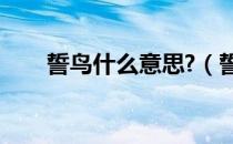 誓鸟什么意思?（誓鸟是什么含义？）