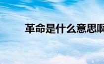 革命是什么意思啊 革命是什么意思