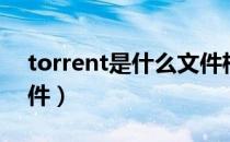torrent是什么文件格式（torrent是什么文件）