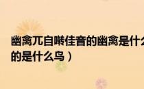 幽禽兀自啭佳音的幽禽是什么意思（幽禽兀自啭佳音幽禽指的是什么鸟）