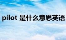 pilot 是什么意思英语（pilot是什么意思？）