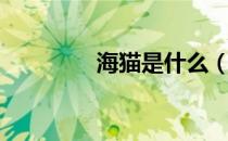 海猫是什么（什么是海猫）