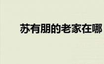 苏有朋的老家在哪 苏有朋的老婆照片