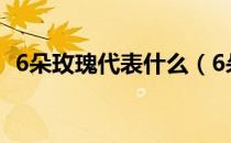 6朵玫瑰代表什么（6朵玫瑰代表什么意思）