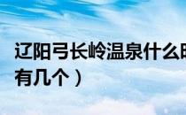 辽阳弓长岭温泉什么时候开（辽阳弓长岭温泉有几个）